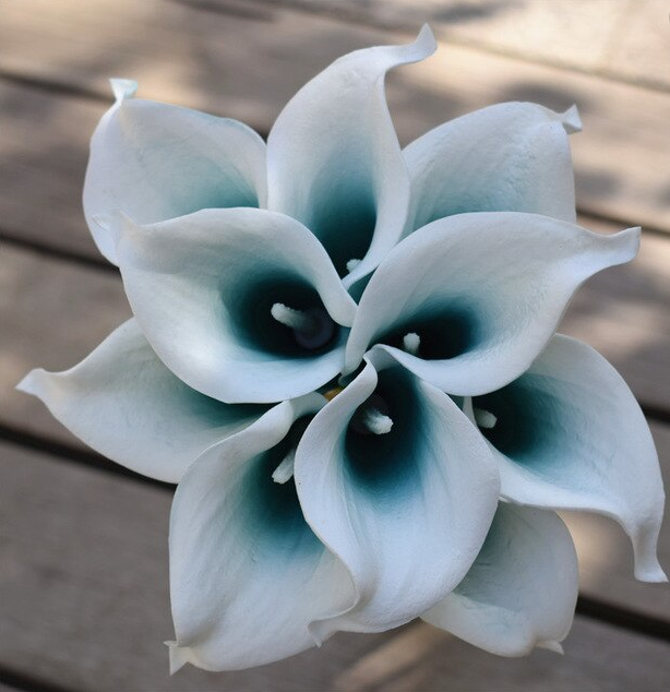 Opplæring med schwung i!