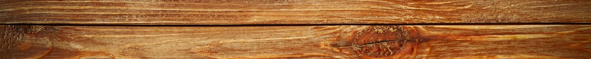 Artikkelbilde til artikkelen test bilde